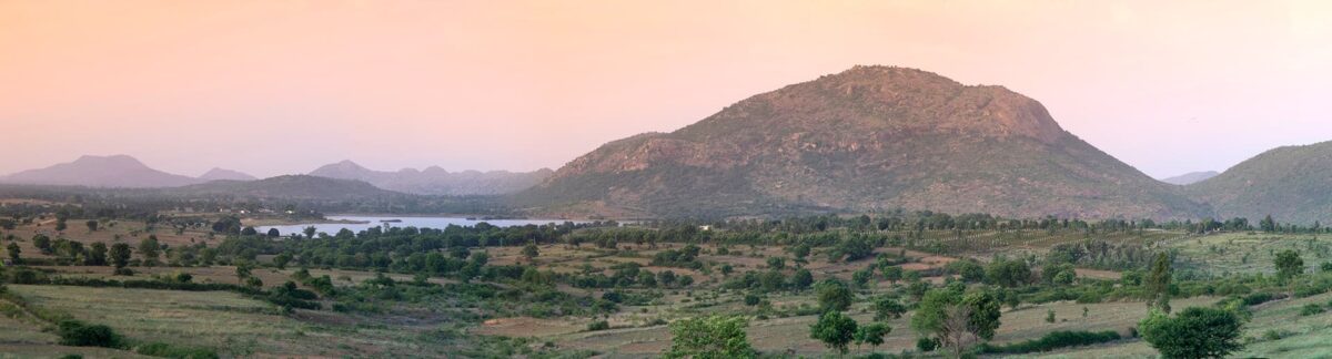 Vineyards at Nandi Hills outside of Bangalore, Karnataka, India, is one of the most well respected and reviewed wineries emerging in India.