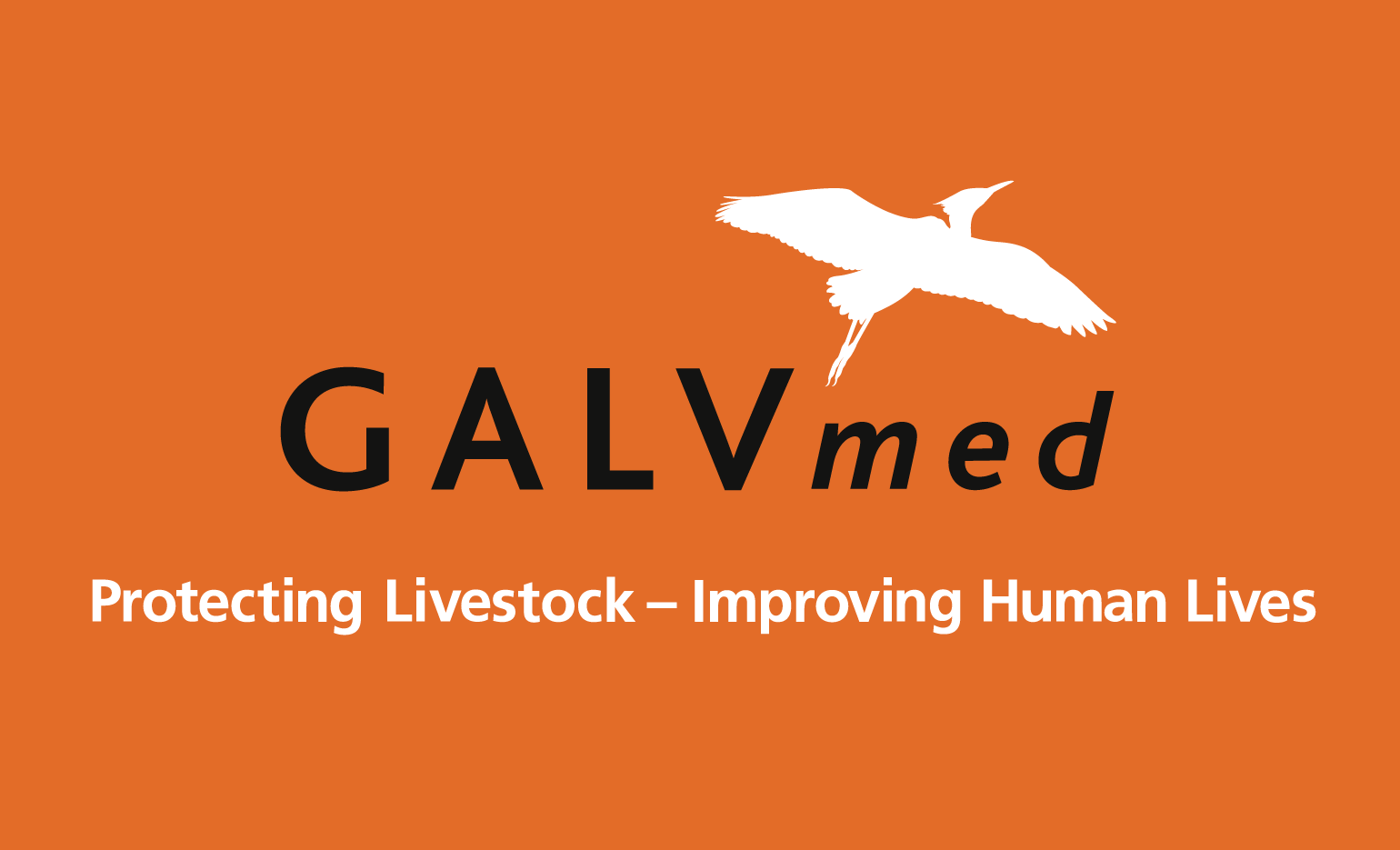 GalvMed